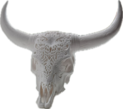 Cows skull fish tank or reptile cage ornament