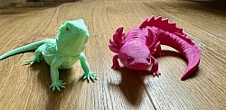 Realistic 3d printed bearded dragon and axolotl